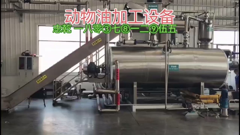供應加工食品動物油生產線,環保熬煉動物油設備,志乾屠宰場提煉油設備