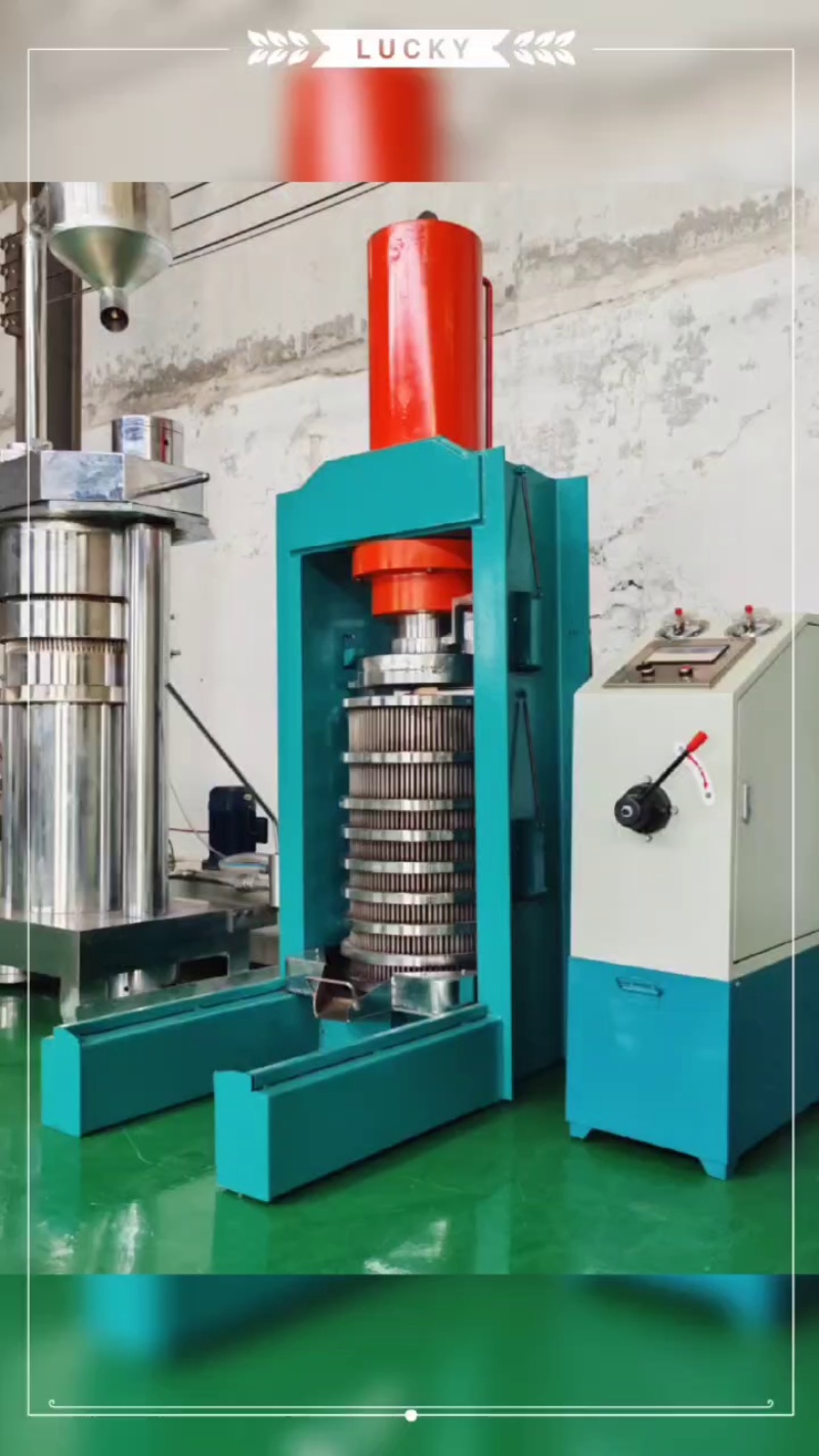 供應油坊商用螺旋榨油機,物理壓榨花生油菜籽油機器,加工葵花籽油設備