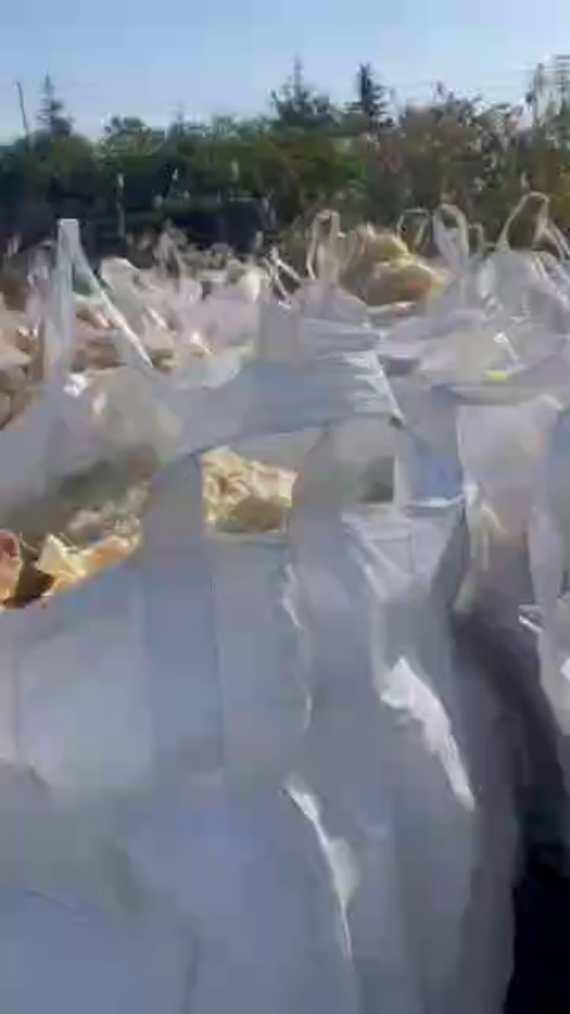 供應ABS月供一百噸